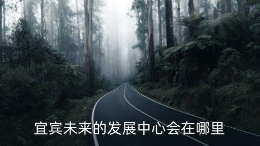 宜賓市數(shù)據(jù)中心在哪里,宜賓未來的城市中心在哪里