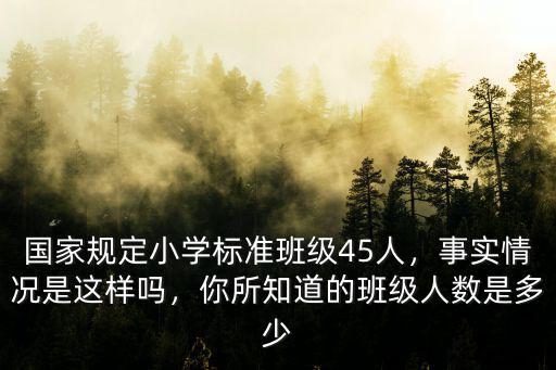 阜陽市小學每班班級人數多少,你所知道的班級人數是多少