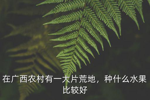 廣元哪里有大片的荒地,對農村的大片荒地