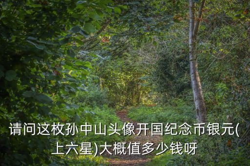 安徽九星開國紀念幣多少錢一枚,現(xiàn)在能值多少錢