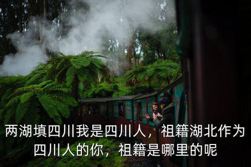 四川的祖先是哪里來的,祖籍是哪里的呢