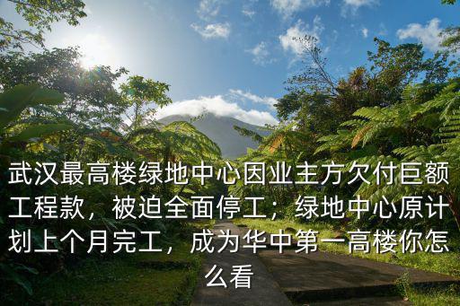 武漢最高樓綠地中心因業主方欠付巨額工程款，被迫全面停工；綠地中心原計劃上個月完工，成為華中第一高樓你怎么看