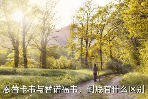 恩替卡韋與替諾福韋，到底有什么區(qū)別