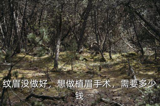 紋眉沒(méi)做好，想做植眉手術(shù)，需要多少錢(qián)
