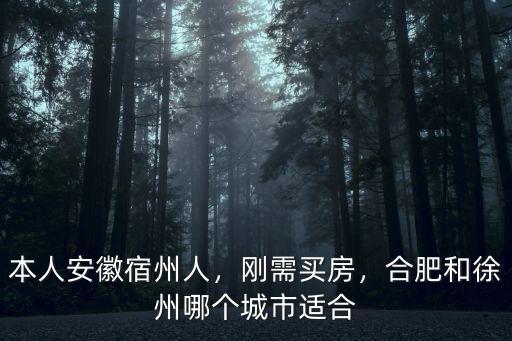 徐州和宿州有多少公里,合肥和徐州哪個城市適合