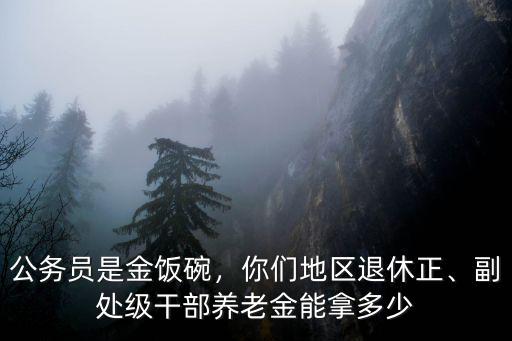 公務員是金飯碗，你們地區退休正、副處級干部養老金能拿多少