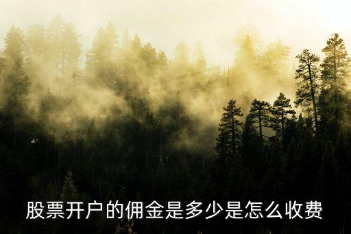 安徽證券開戶傭金多少,股票開戶的傭金是多少