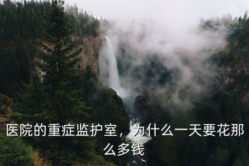 安慶市立醫院重癥監護室一天多少錢,為什么一天要花那么多錢