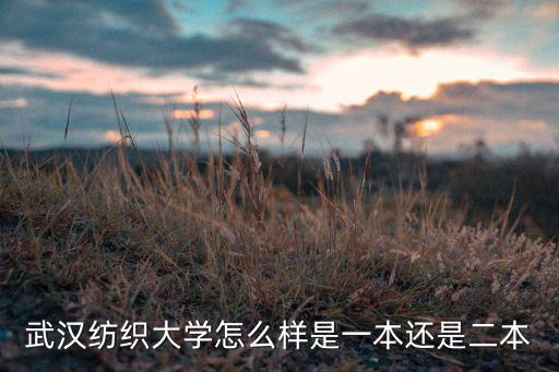 武漢紡織大學工資待遇怎么樣,武漢紡織大學怎么樣