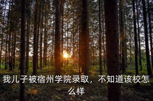 我兒子被宿州學院錄取，不知道該校怎么樣