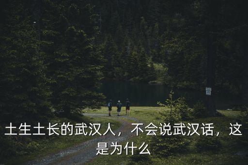 痞子武漢話怎么說,不會說武漢話