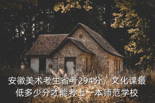 安徽美術省考多少分通過,安徽美術統考成績272分