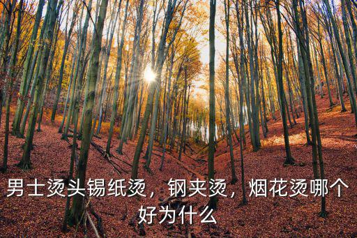 男士燙頭錫紙燙，鋼夾燙，煙花燙哪個好為什么