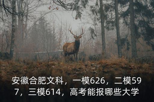 安徽合肥文科，一模626，二模597，三模614，高考能報哪些大學