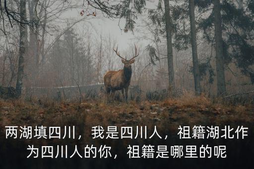 兩湖填四川，我是四川人，祖籍湖北作為四川人的你，祖籍是哪里的呢