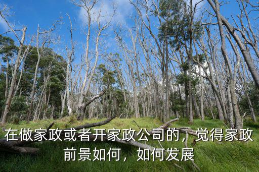 在做家政或者開家政公司的，覺得家政前景如何，如何發展