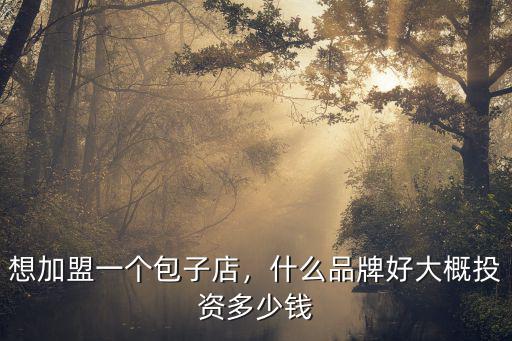 想加盟一個包子店，什么品牌好大概投資多少錢