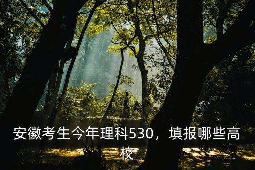 安徽考生今年理科530，填報哪些高校