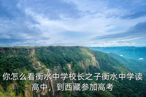 衡水中學(xué)校長(zhǎng)之子西藏高考考了多少分,衡水校長(zhǎng)送兒子到西藏高考
