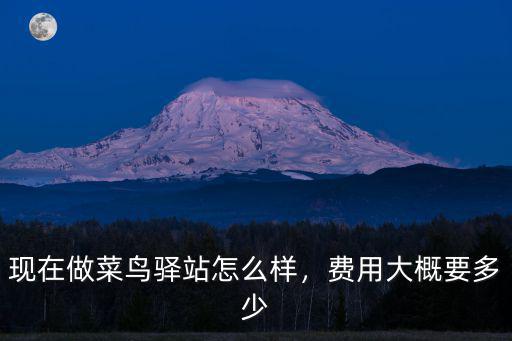 現在做菜鳥驛站怎么樣，費用大概要多少
