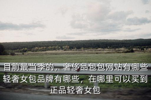 在德陽哪里可以買到品牌女包,輕奢女包品牌有哪些