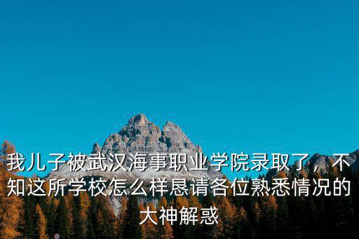 我兒子被武漢海事職業學院錄取了，不知這所學校怎么樣懇請各位熟悉情況的大神解惑