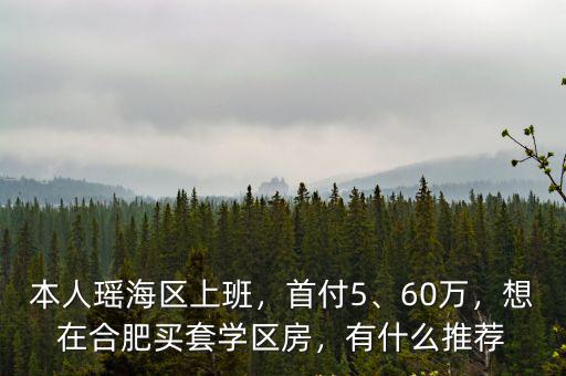 本人瑤海區上班，首付5、60萬，想在合肥買套學區房，有什么推薦