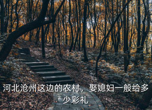 滄州定親給多少錢彩禮,滄州結婚一般給多少彩禮錢