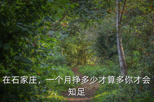 石家莊安檢員一個月掙多少錢,地鐵安檢員多少錢工資一個月