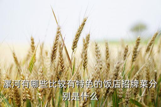 漯河有哪些比較有特色的飯店招牌菜分別是什么