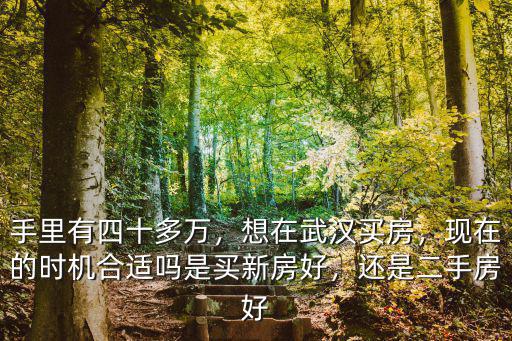 買武漢愿景城的房子怎么樣,武漢黃家湖軍運村房子怎么樣