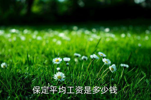 河北導員月工資多少錢,一個月工資大概多少錢