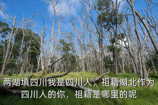 林依晨祖籍是四川哪里,祖籍是哪里的呢