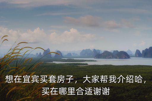 想在宜賓買套房子，大家?guī)臀医榻B哈，買在哪里合適謝謝