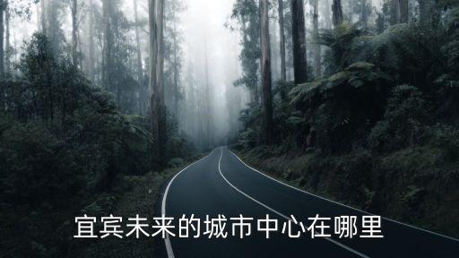 宜賓中心點在哪里坐車,宜賓未來的城市中心在哪里
