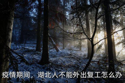 疫情期間，湖北人不能外出復(fù)工怎么辦