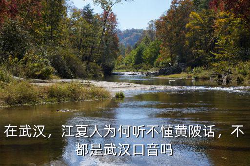 在武漢，江夏人為何聽(tīng)不懂黃陂話，不都是武漢口音嗎