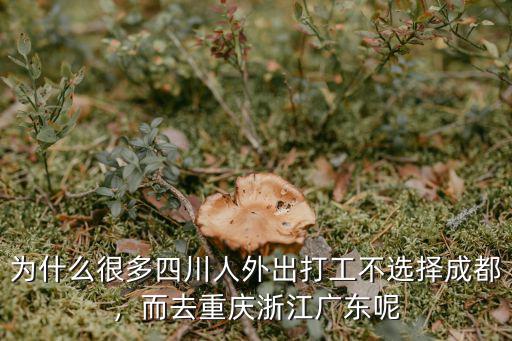 廣東哪里是四川人多,四川妹子嫁去廣東的多