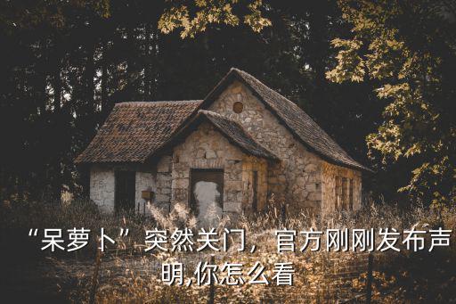 呆蘿卜合肥多少錢,合肥呆蘿卜大規模關店