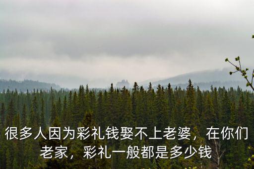 很多人因為彩禮錢娶不上老婆，在你們老家，彩禮一般都是多少錢