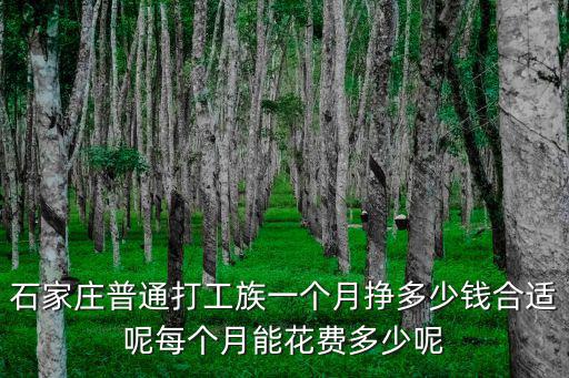 石家莊普通打工族一個月掙多少錢合適呢每個月能花費多少呢
