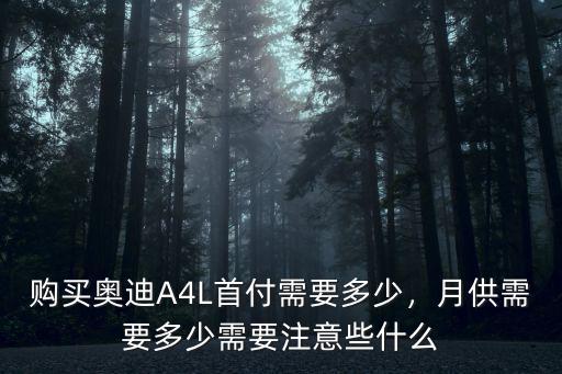 鄭州買奧迪a4首付多少,購(gòu)買奧迪A4L首付需要多少