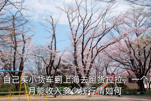 自己買小貨車到上海去跑貨拉拉，一個月能收入多少錢行情如何