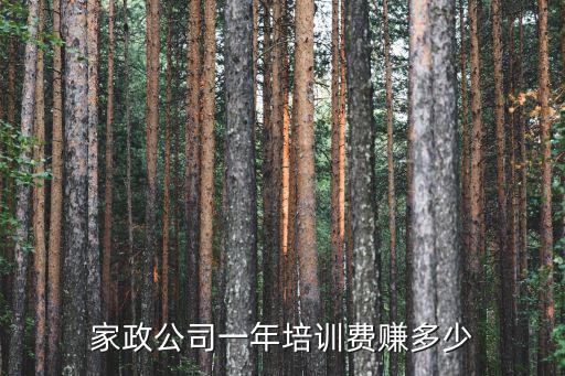 阜陽太和家政公司電話多少錢,家政公司一年培訓費賺多少
