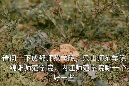 內江師范學院第一學術報告廳在哪里,內江師范學院哪一個好一些