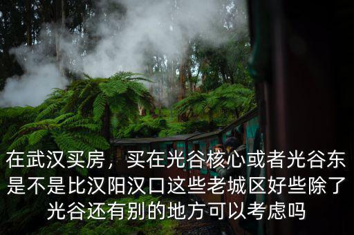 武漢漢口光谷怎么樣,知道光谷廣場現(xiàn)在怎么樣了