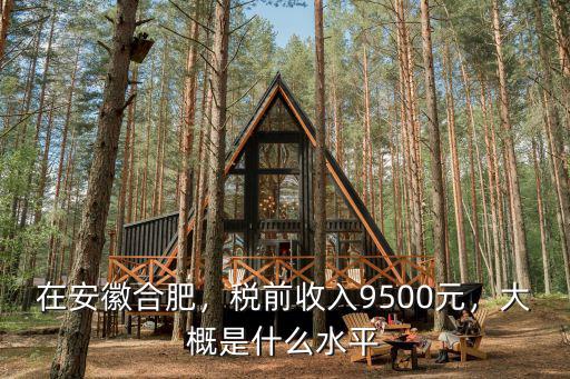 在安徽合肥，稅前收入9500元，大概是什么水平