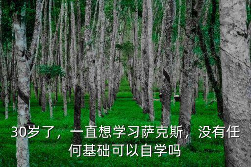 30歲了，一直想學(xué)習(xí)薩克斯，沒有任何基礎(chǔ)可以自學(xué)嗎