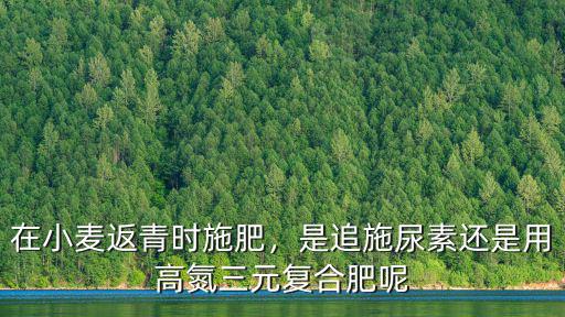 復合肥氮的利用率是多少,怎樣提高復合肥氮的利用率