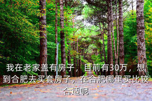 我在老家蓋有房子，目前有30萬，想到合肥去買套房子，在合肥哪里買比較合適呢